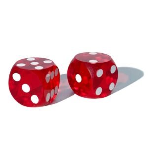 Magic Professional Dice for Cheating Device